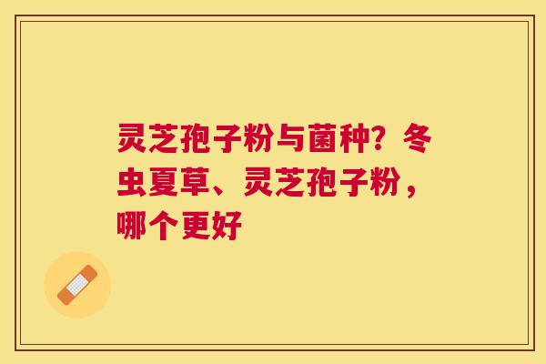 灵芝孢子粉与菌种？冬虫夏草、灵芝孢子粉，哪个更好