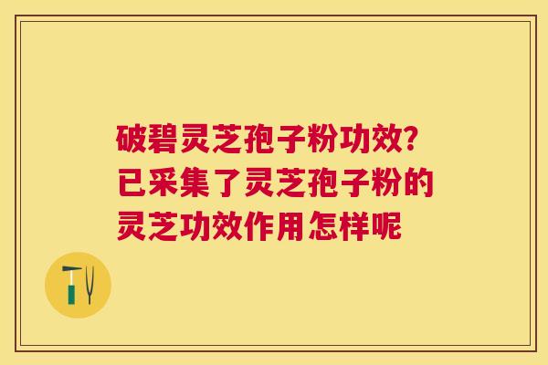 破碧灵芝孢子粉功效？已采集了灵芝孢子粉的灵芝功效作用怎样呢