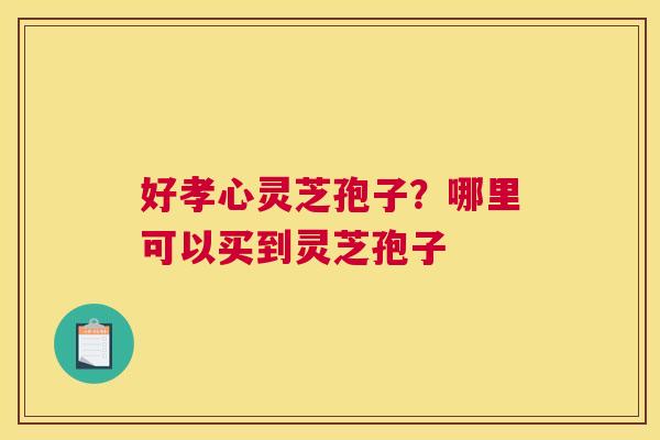 好孝心灵芝孢子？哪里可以买到灵芝孢子