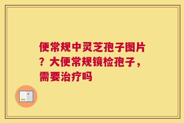 便常规中灵芝孢子图片？大便常规镜检孢子，需要吗