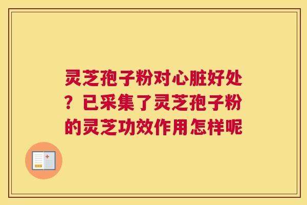 灵芝孢子粉对好处？已采集了灵芝孢子粉的灵芝功效作用怎样呢