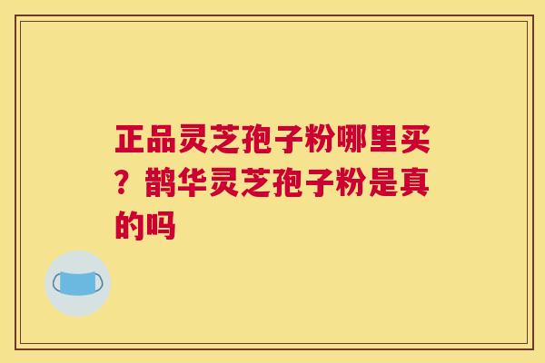 正品灵芝孢子粉哪里买？鹊华灵芝孢子粉是真的吗