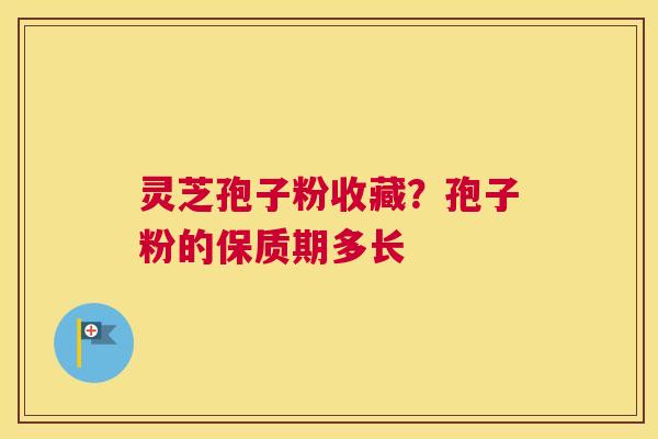 灵芝孢子粉收藏？孢子粉的保质期多长