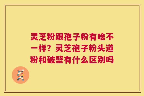 灵芝粉跟孢子粉有啥不一样？灵芝孢子粉头道粉和破壁有什么区别吗