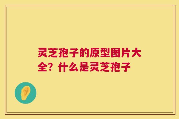 灵芝孢子的原型图片大全？什么是灵芝孢子