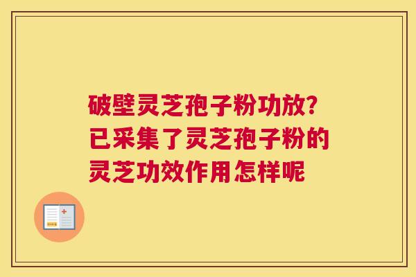 破壁灵芝孢子粉功放？已采集了灵芝孢子粉的灵芝功效作用怎样呢