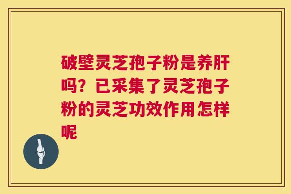 破壁灵芝孢子粉是养吗？已采集了灵芝孢子粉的灵芝功效作用怎样呢