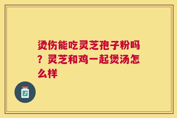 烫伤能吃灵芝孢子粉吗？灵芝和鸡一起煲汤怎么样
