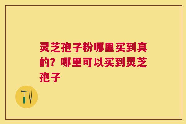 灵芝孢子粉哪里买到真的？哪里可以买到灵芝孢子