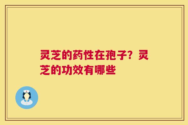 灵芝的在孢子？灵芝的功效有哪些