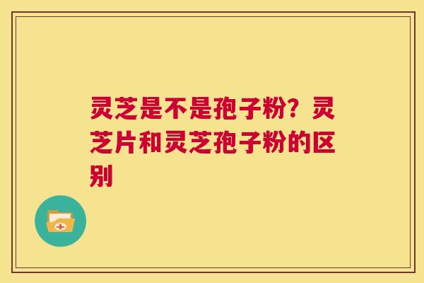 灵芝是不是孢子粉？灵芝片和灵芝孢子粉的区别
