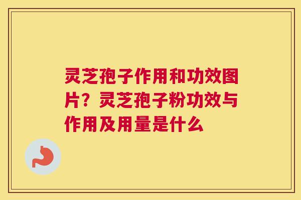灵芝孢子作用和功效图片？灵芝孢子粉功效与作用及用量是什么