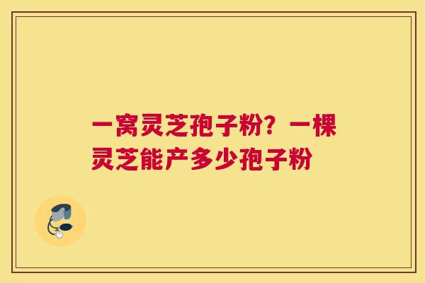 一窝灵芝孢子粉？一棵灵芝能产多少孢子粉