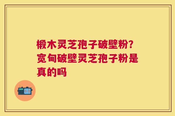 椴木灵芝孢子破壁粉？宽甸破壁灵芝孢子粉是真的吗