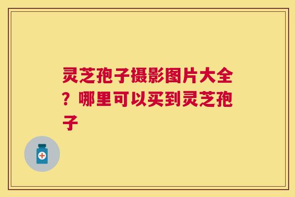 灵芝孢子摄影图片大全？哪里可以买到灵芝孢子