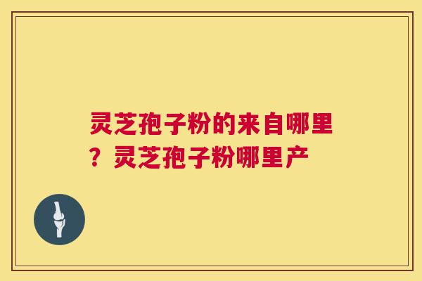 灵芝孢子粉的来自哪里？灵芝孢子粉哪里产