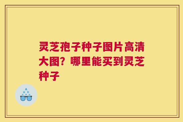 灵芝孢子种子图片高清大图？哪里能买到灵芝种子