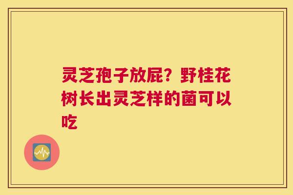 灵芝孢子放屁？野桂花树长出灵芝样的菌可以吃