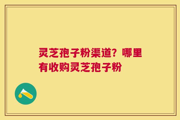 灵芝孢子粉渠道？哪里有收购灵芝孢子粉