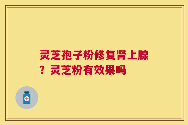 灵芝孢子粉修复上腺？灵芝粉有效果吗