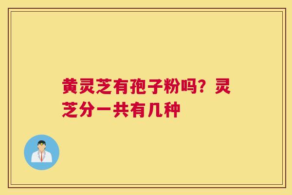 黄灵芝有孢子粉吗？灵芝分一共有几种