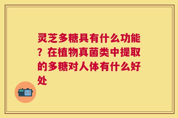 灵芝多糖具有什么功能？在植物真菌类中提取的多糖对人体有什么好处