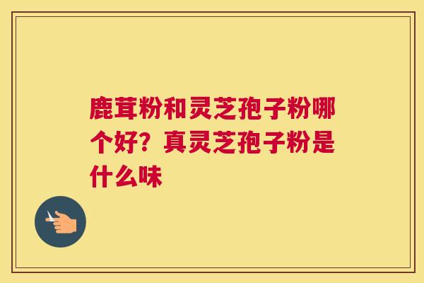 鹿茸粉和灵芝孢子粉哪个好？真灵芝孢子粉是什么味