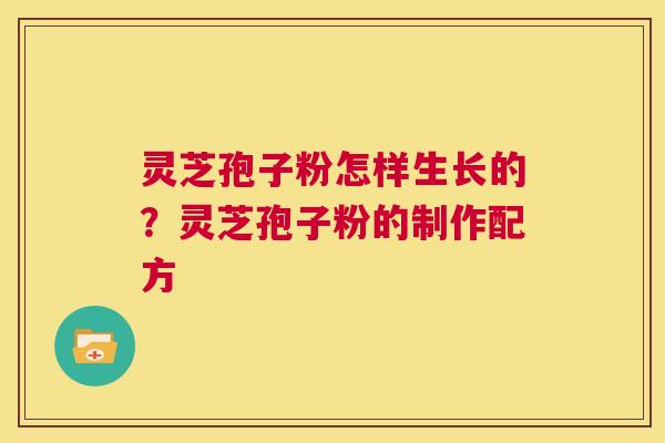 灵芝孢子粉怎样生长的？灵芝孢子粉的制作配方