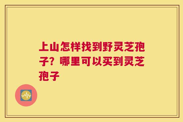 上山怎样找到野灵芝孢子？哪里可以买到灵芝孢子