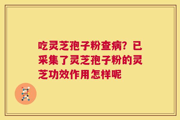吃灵芝孢子粉查？已采集了灵芝孢子粉的灵芝功效作用怎样呢