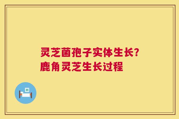 灵芝菌孢子实体生长？鹿角灵芝生长过程
