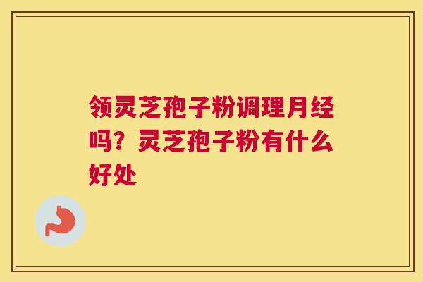 领灵芝孢子粉调理吗？灵芝孢子粉有什么好处