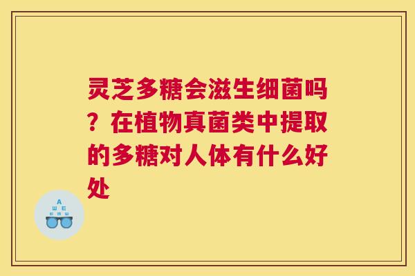 灵芝多糖会滋生吗？在植物真菌类中提取的多糖对人体有什么好处