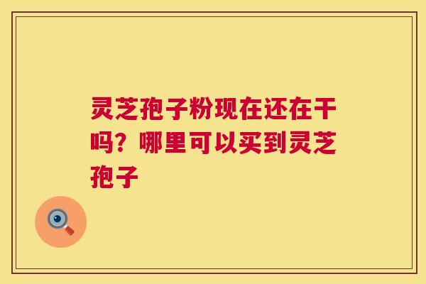 灵芝孢子粉现在还在干吗？哪里可以买到灵芝孢子