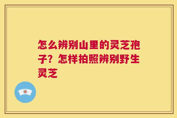 怎么辨别山里的灵芝孢子？怎样拍照辨别野生灵芝