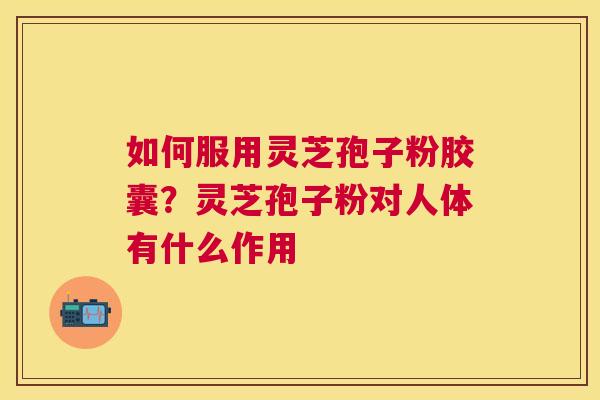 如何服用灵芝孢子粉胶囊？灵芝孢子粉对人体有什么作用