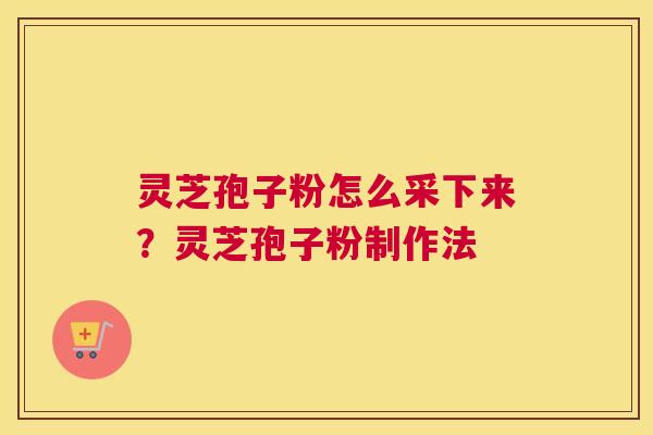 灵芝孢子粉怎么采下来？灵芝孢子粉制作法