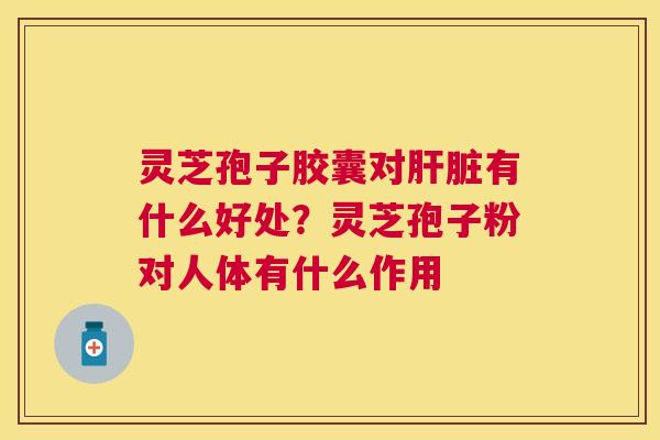 灵芝孢子胶囊对有什么好处？灵芝孢子粉对人体有什么作用