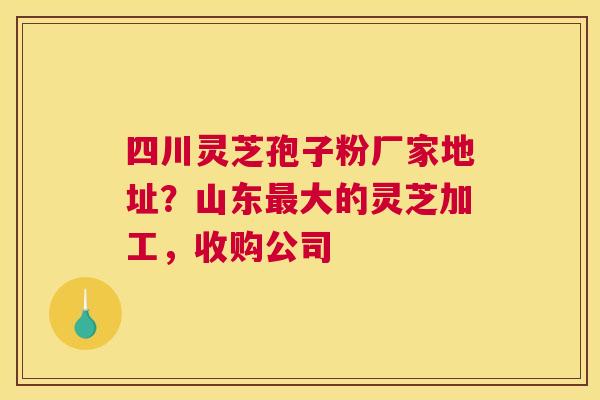 四川灵芝孢子粉厂家地址？山东大的灵芝加工，收购公司