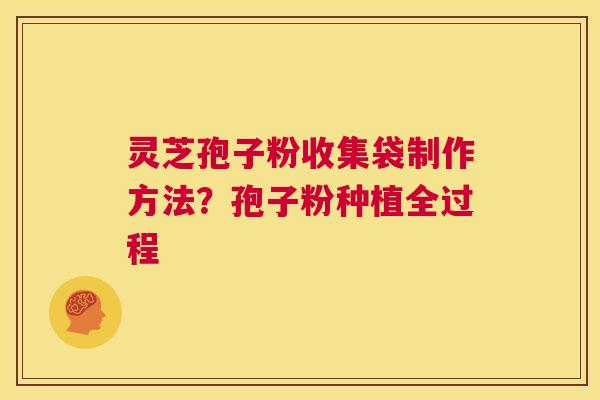 灵芝孢子粉收集袋制作方法？孢子粉种植全过程