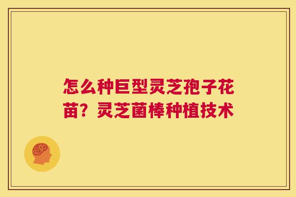 怎么种巨型灵芝孢子花苗？灵芝菌棒种植技术