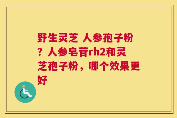 野生灵芝 人参孢子粉？人参皂苷rh2和灵芝孢子粉，哪个效果更好