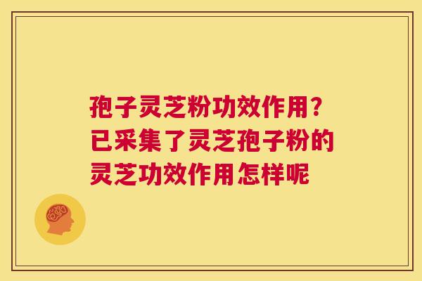 孢子灵芝粉功效作用？已采集了灵芝孢子粉的灵芝功效作用怎样呢