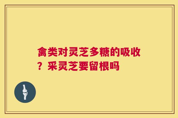 禽类对灵芝多糖的吸收？采灵芝要留根吗