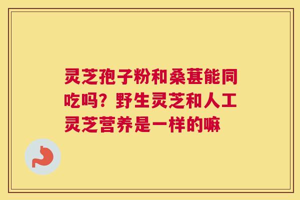 灵芝孢子粉和桑葚能同吃吗？野生灵芝和人工灵芝营养是一样的嘛