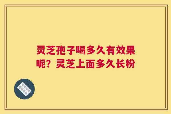 灵芝孢子喝多久有效果呢？灵芝上面多久长粉