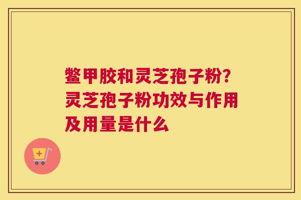鳖甲胶和灵芝孢子粉？灵芝孢子粉功效与作用及用量是什么