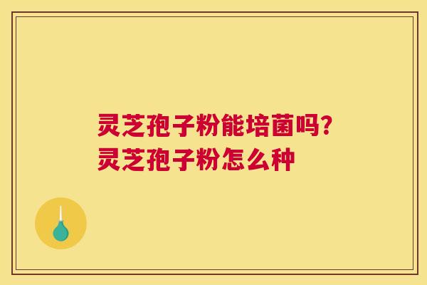 灵芝孢子粉能培菌吗？灵芝孢子粉怎么种