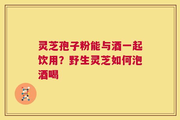 灵芝孢子粉能与酒一起饮用？野生灵芝如何泡酒喝