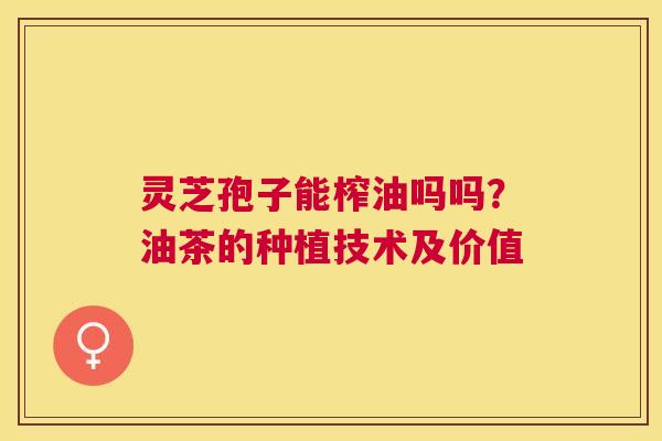 灵芝孢子能榨油吗吗？油茶的种植技术及价值